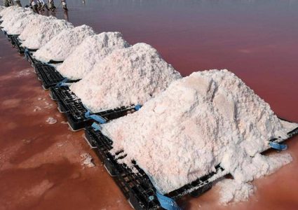 عقدة الملح التاريخية.. "الخطأ ينكشف"