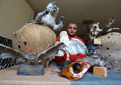 شاب من غزة يتخذ من تحنيط الحيوانات الميتة مهنة له