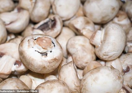 الفطر قد يساعد في الحد من الضعف الإدراكي المرتبط بالخرف