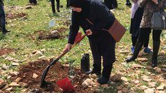 "شجرة لكل شهيد"...أمهات الشهداء غرسن الألم ليزهر الأمل