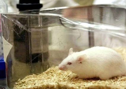 اكتشاف دواء يهزم مرضا شائعا لا علاج له