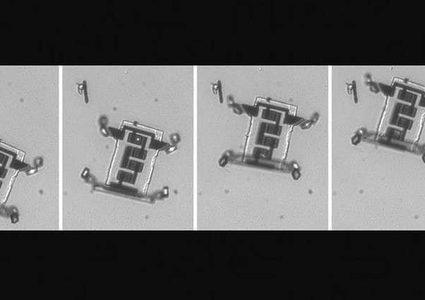 روبوتات مجهرية لنقل الدواء إلى جميع مناطق الجسم