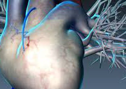 عقار جديد يحد من تلف عضلة القلب عند التعرض للنوبات القلبية