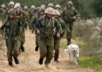 الاحتلال يعتقل شابا ويجري مناورات عسكرية