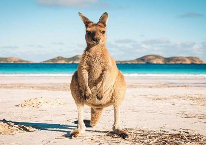 دولة "سيختفي" منها الشتاء بحلول عام 2050!