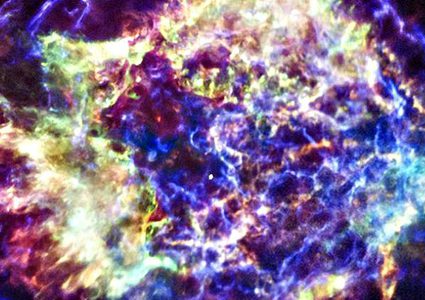 كيف تموت الخلايا البشرية وأين تذهب بعد موتها ؟