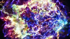 كيف تموت الخلايا البشرية وأين تذهب بعد موتها ؟