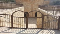 ادعيس: قرار محكمة الاحتلال اغلاق باب الرحمة غير قانوني ومرفوض