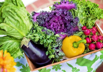 دراسة: الحافز الداخلي هو العامل الحاسم بالنسبة للتغذية الصحية