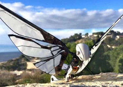 تعرف على روبوت "MetaFly" الشبيه بالحشرات الحقيقية
