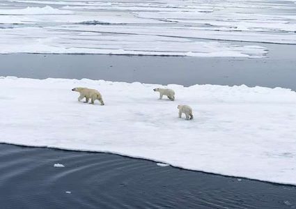 توقعات بموت ملايين الناس مبكرا