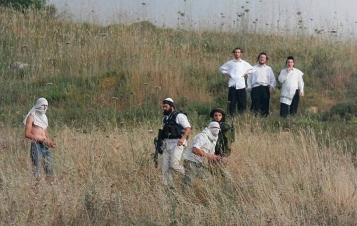 مستوطنون يهاجمون مركبات المواطنين بالحجارة شمال سلفيت