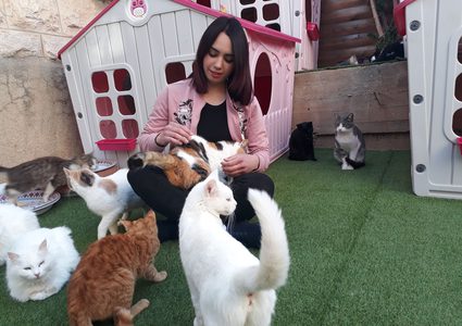 بدافع الهواية والحب ..ملجأ للقطط في الخليل