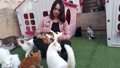 بدافع الهواية والحب ..ملجأ للقطط في الخليل