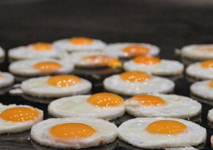 أخيرا.. دراسة تحسم "مخاطر البيض"