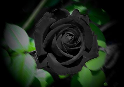 الأسود: رمز للشيطان عند الإغريق ولون الحياة عند قدماء المصريين