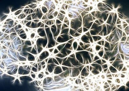 إنماء "أدمغة مصغرة" تتحكم بالعضلات ذاتيا!