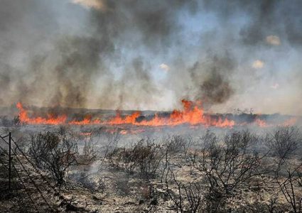 حريقان في "اشكول" بعد سقوط بالونات أطلقت من غزة