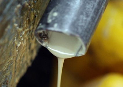 الصحة توقف مصنعا عن العمل في الخليل