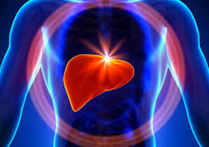 كيف يتأثر الكبد بالمشروبات الغازية والدهون ؟