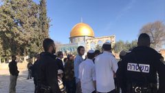 تحذير من اقتحامات واسعة للأقصى في "عيد المساخر" اليوم