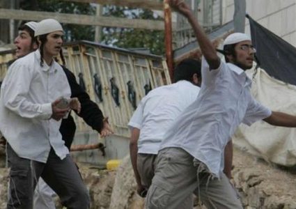 مستوطنون يعتدون على مواطنة ونجلها في الخليل