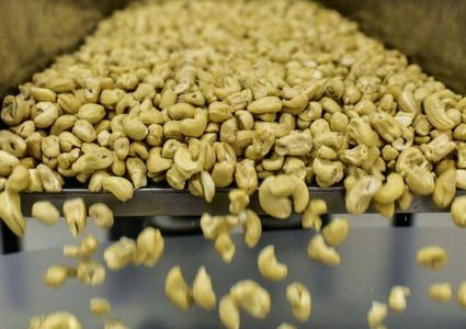 المكسرات.. مفعول سحري على الوظائف الإدراكية