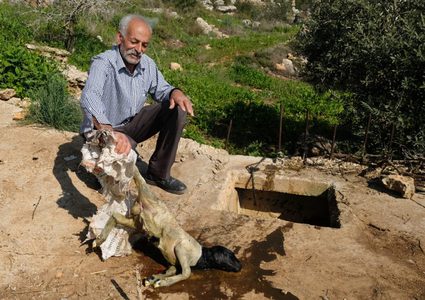 شاهد آخر على الإرهاب ..مستوطنون "يعدمون" "بئر الكرم" شرق فرعتا