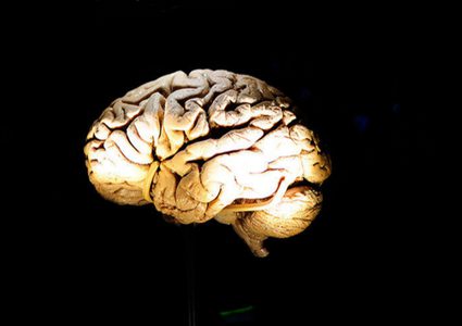 مادة غذائية تحسن وظائف الدماغ بنسبة 60%