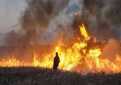 الاحتلال يزعم اندلاع حريق في مستوطنة اشكول بفعل البالونات الحارقة