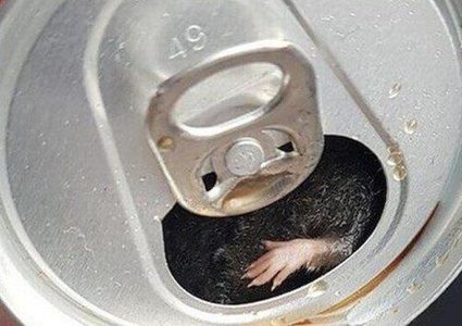 فرنسي يعثر على فأر داخل علبة مشروب غازي