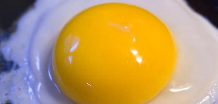 اضرار صفار البيض أهمها احتواؤه على نسبة عالية من الكوليسترول
