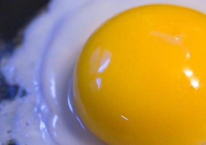 اضرار صفار البيض أهمها احتواؤه على نسبة عالية من الكوليسترول