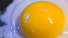 اضرار صفار البيض أهمها احتواؤه على نسبة عالية من الكوليسترول