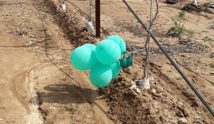 الاحتلال يزعم سقوط عدد من البالونات الحارقة في محيط غلاف غزه