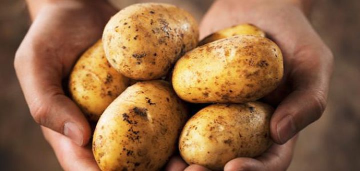 دراسة: البطاطا الطازجة تساعد على خفض مستوى السكر في الدم