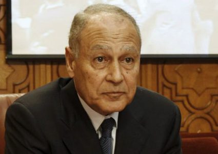 أبو الغيظ يؤكد أهمية التنسيق العربي الإسلامي لدعم حقوق فلسطين