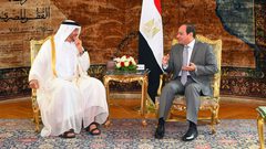 رفض مصري إماراتي للتدخل الخارجي في الشؤون العربية
