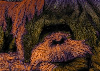 روسي يحاول تهريب قرد وسحال من إندونيسيا في أمتعته