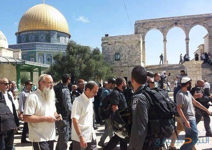 136 مستوطنًا يقتحمون المسجد الأقصى