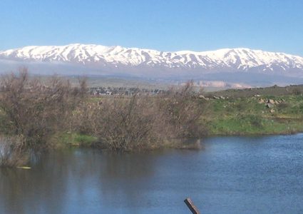 الاتحاد الاوروبي: موقفنا لن يتغير رغم قرار ترامب حول الجولان