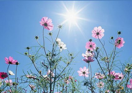 حالة الطقس: ارتفاع درجات الحرارة واجواء ربيعية اليوم وغدا