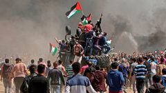 273 شهيدا من بينهم 51 طفلا و5 سيدات في  قطاع غزة