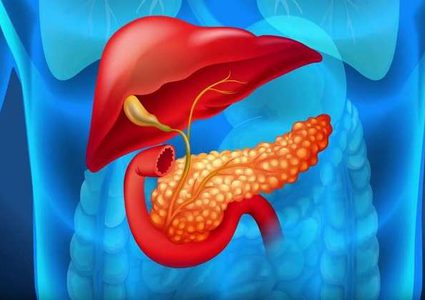 بنكرياس صناعي يوفر الإنسولين للمرضى ويحمي الطائرات من السقوط!