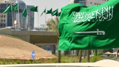 السعودية تخطط لاقتراض 31.5 مليار دولار ب2019