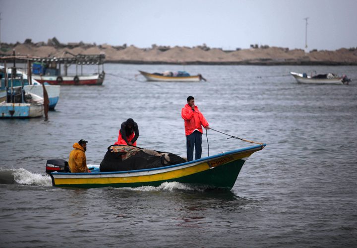 صيادون فلسطينيون يعدون قواربهم في ميناء غزة بعد قرار الاحتلال زيادة مساحة الصيد في بحر قطاع غزة إلى 15 ميل بحري بدءاً من صباح الاثنين.