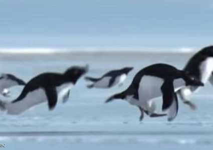 أشهر كذبات أبريل التي صدقها كثيرون