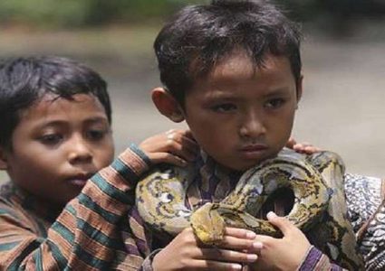 ثعبان يعض شفة طفل أغضبه! (فيديو)