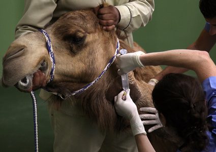 تعرف على أول مستشفى لعلاج الجمال فى دبى بتكلفة 40 مليون درهم