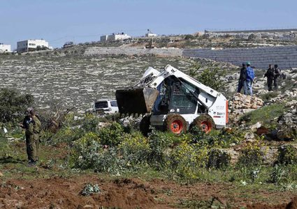 مستوطنون يقطعون 550 شجرة كرمة ولوزيات شرق رام الله